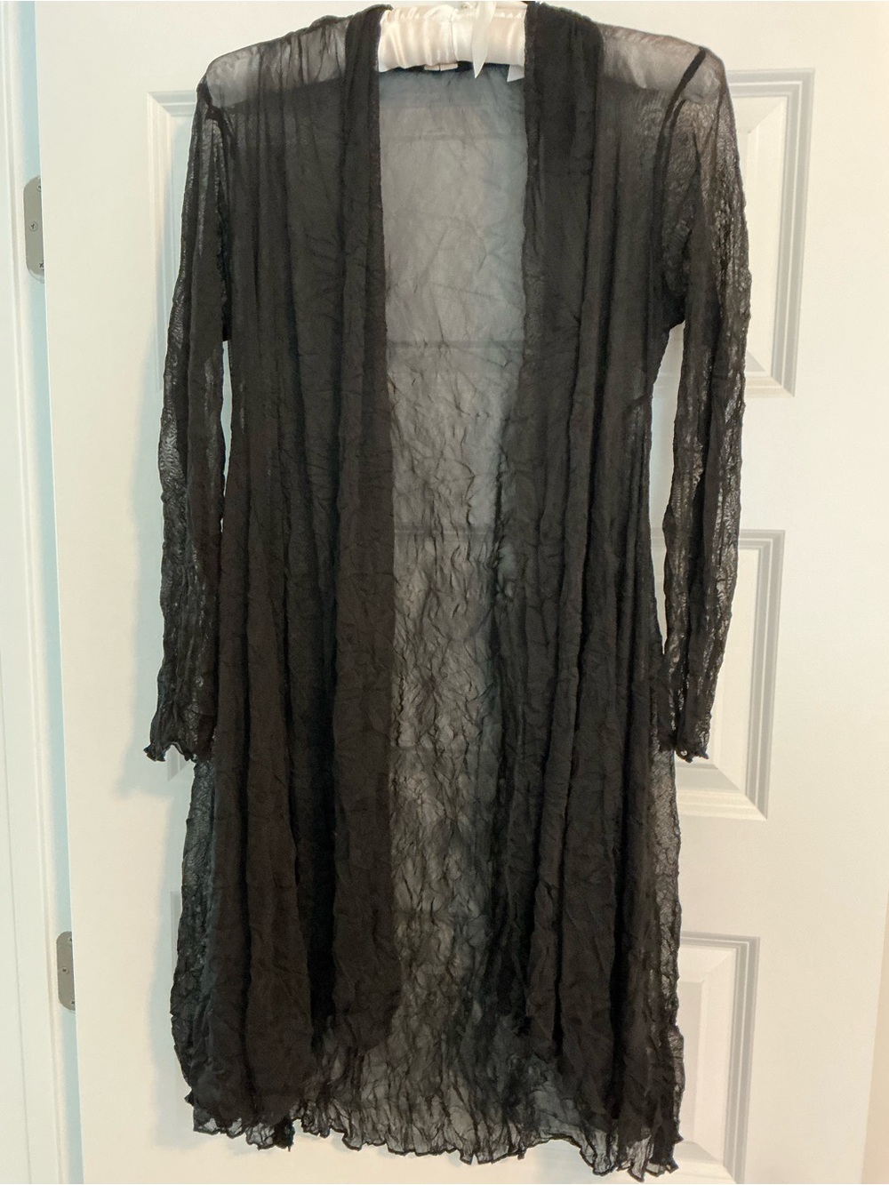 Black Sheer Long Sleeve Lace Cover-Up
